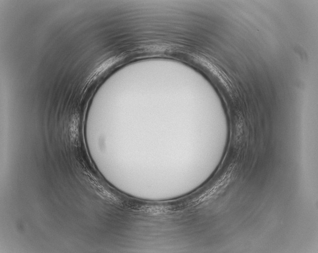 X0000115780778200912041450