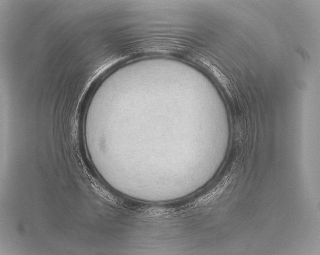 X0000115780779200912041450