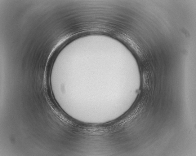 X0000115780780200912041450