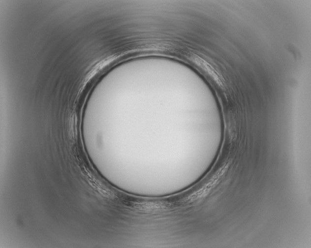 X0000115780781200912041450