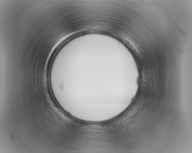 X0000115780784200912041450