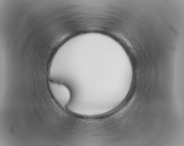 X0000115780785200912041450