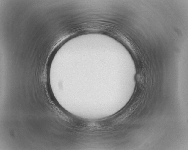 X0000115780787200912041450