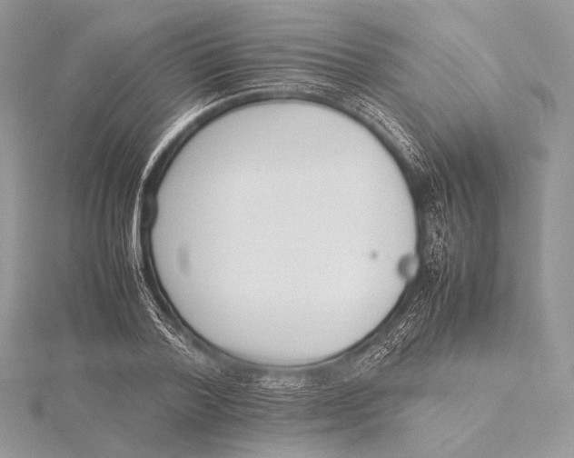 X0000115780788200912041450