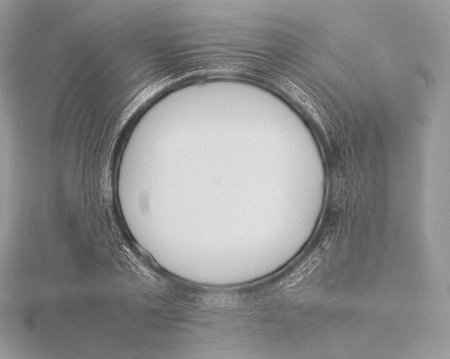 X0000115780789200912041450