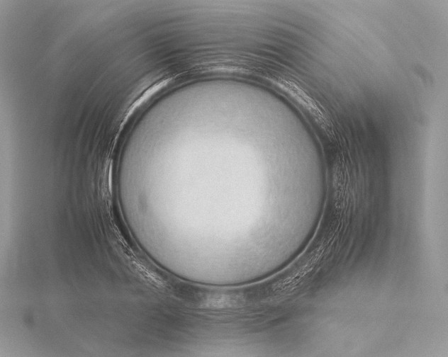 X0000115780790200912041450