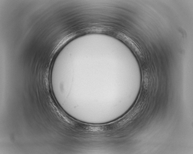 X0000115780794200912041450