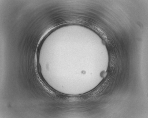 X0000115780796200912041450