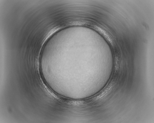 X0000115780802200912041450