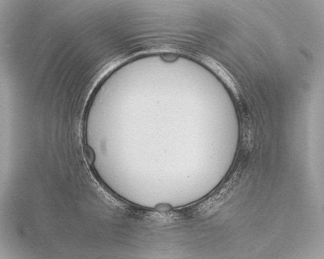 X0000115780805200912041450