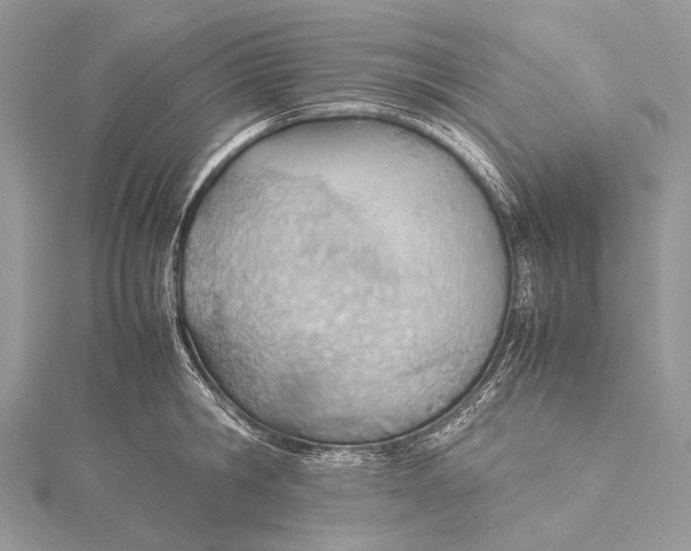 X0000115780806200912041450