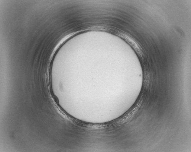 X0000115780808200912041450