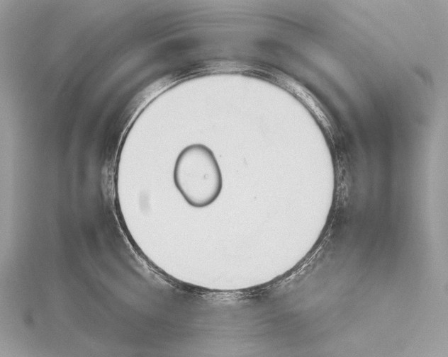 X0000115780810200912041450