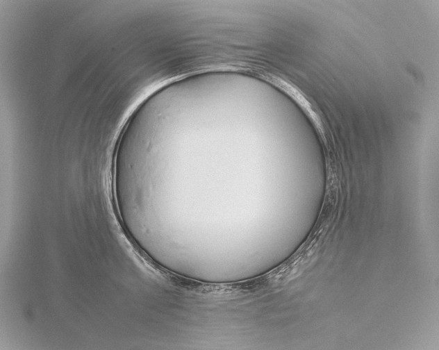 X0000115780811200912041450