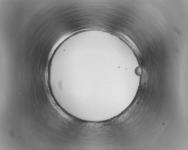 X0000115780812200912041450