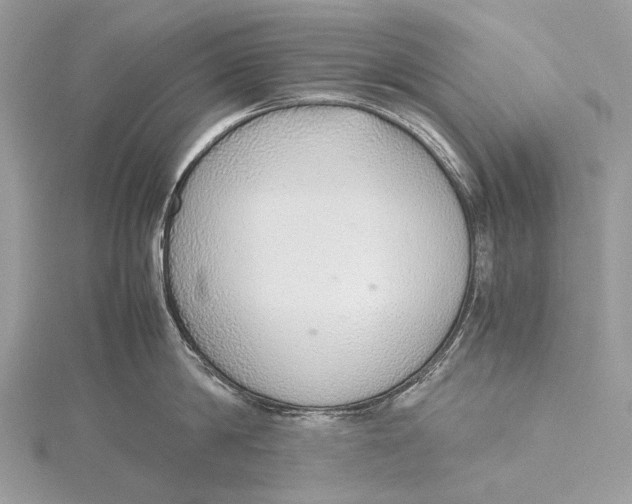 X0000115780814200912041450