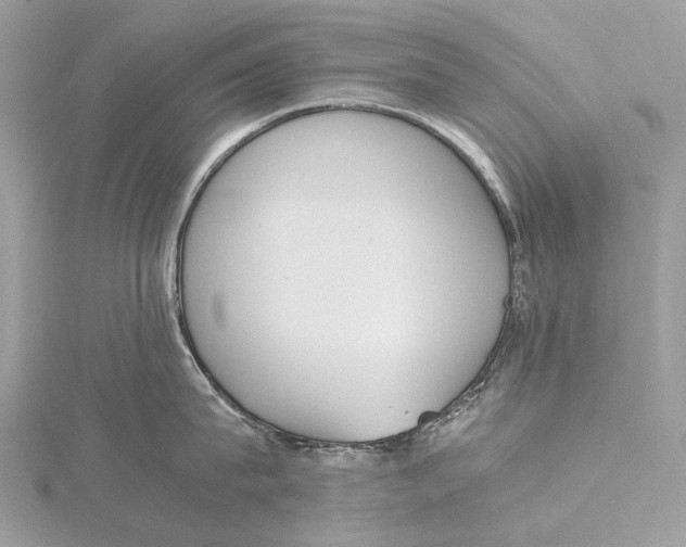 X0000115780815200912041450