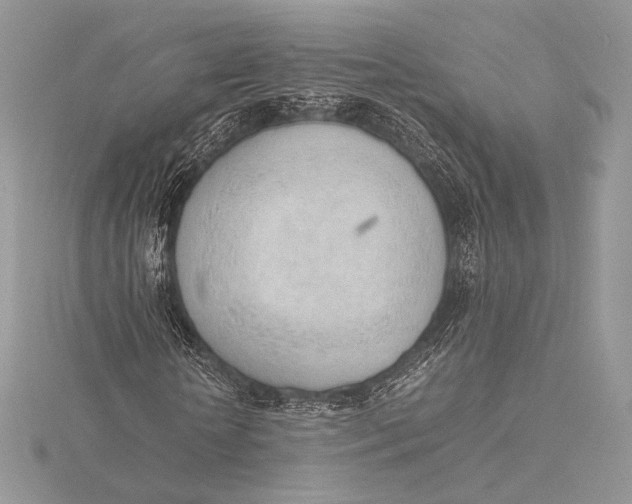 X0000115780818200912041449