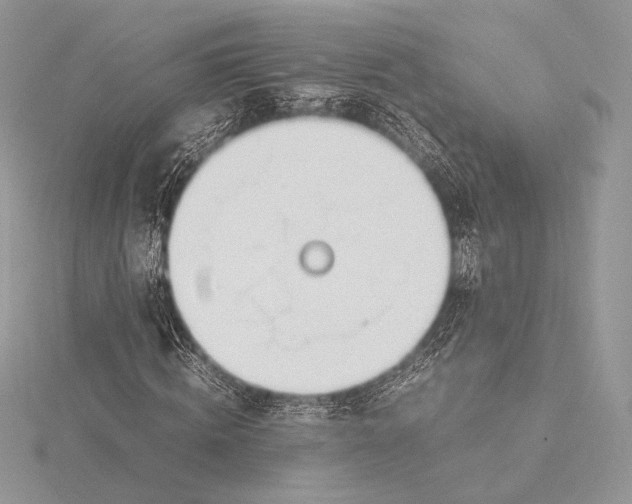 X0000115780820200912041449