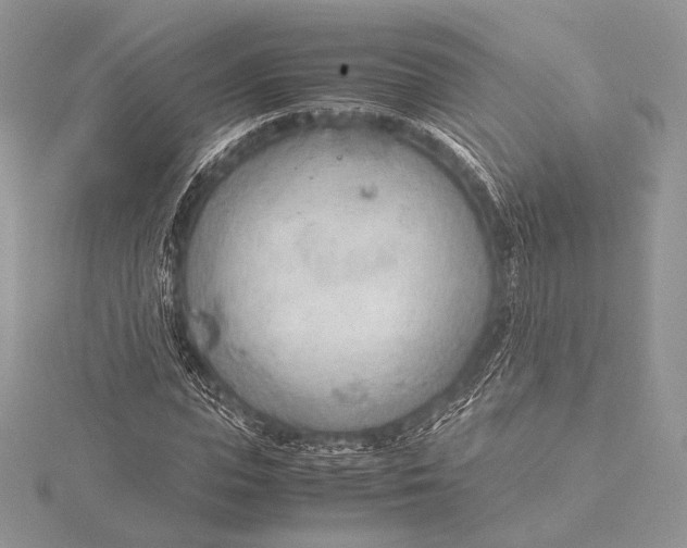 X0000115780823200912041449