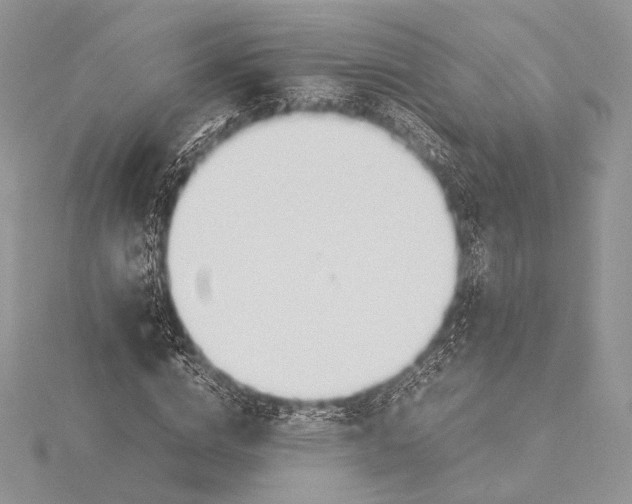 X0000115780824200912041449