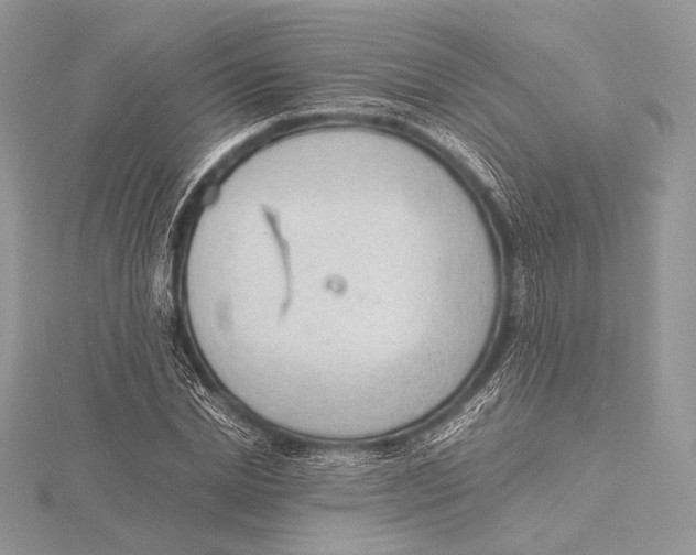 X0000115780830200912041449