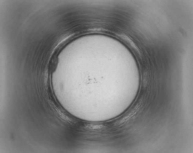 X0000115780831200912041449