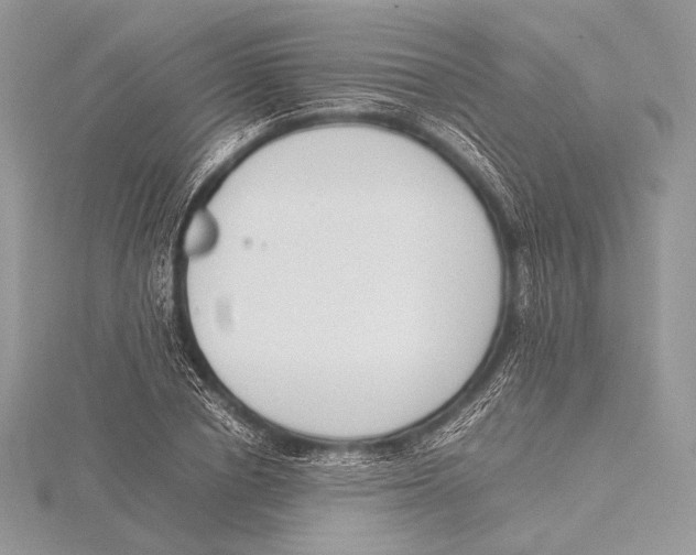 X0000115780834200912041449