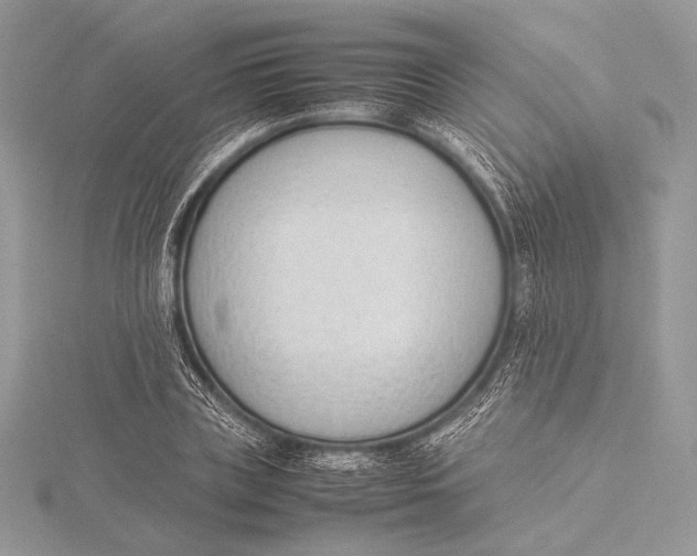 X0000115780835200912041449