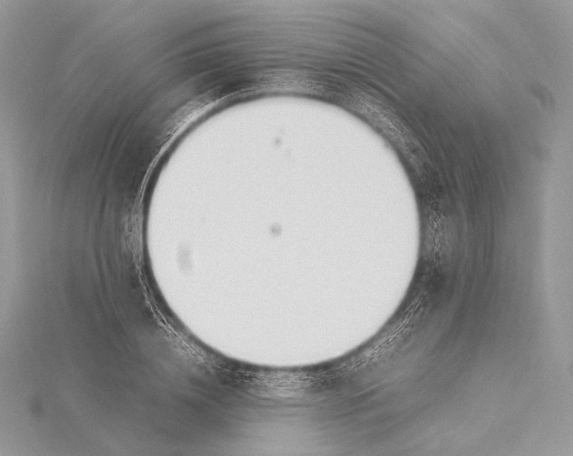 X0000115780836200912041449