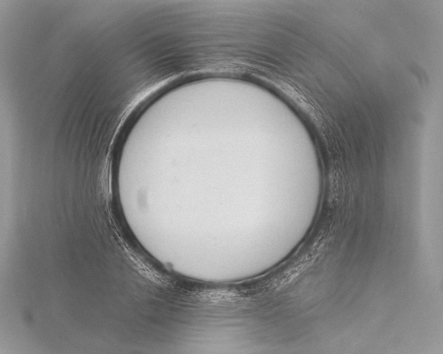 X0000115780838200912041449