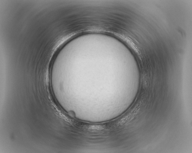 X0000115780839200912041449