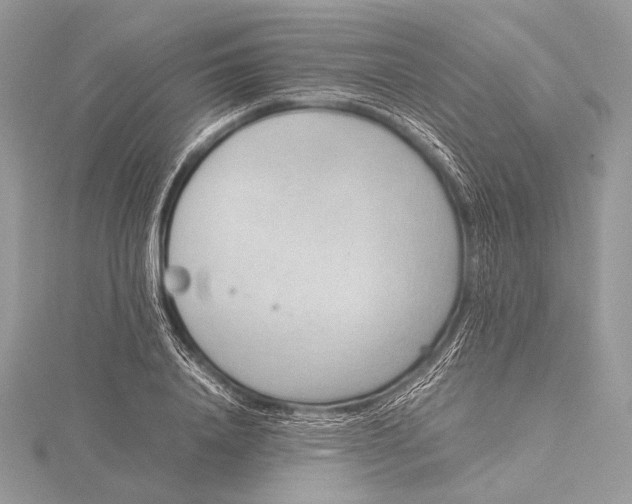 X0000115780840200912041449