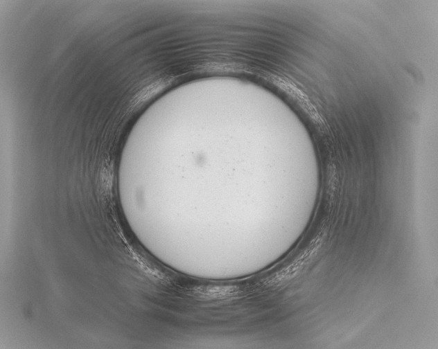 X0000115780841200912041450