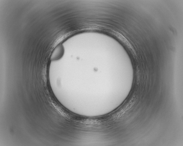 X0000115780842200912041450