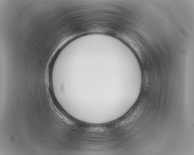 X0000115780843200912041450