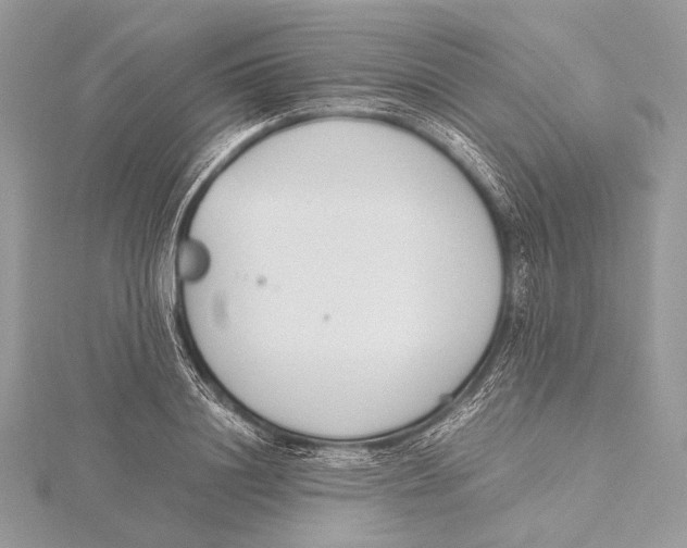 X0000115780844200912041450