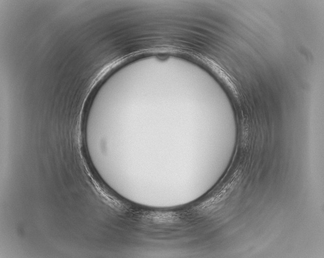 X0000115780845200912041450