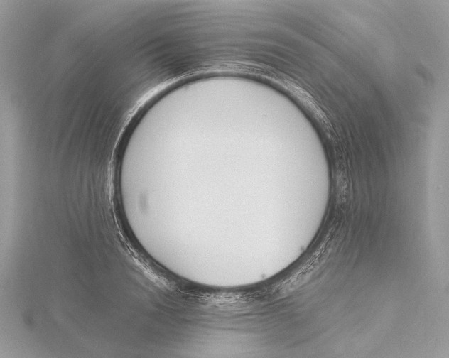 X0000115780846200912041450