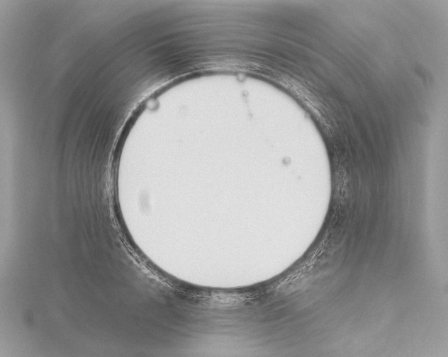 X0000115780848200912041450