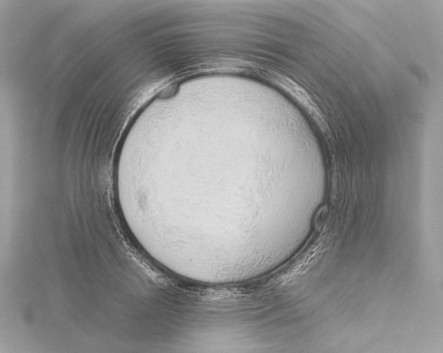 X0000115780850200912041450