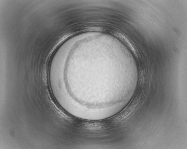 X0000115780851200912041450