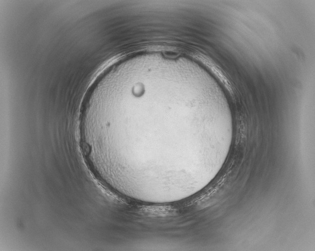 X0000115780853200912041450