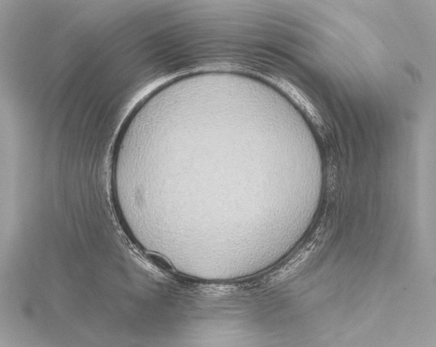 X0000115780854200912041450