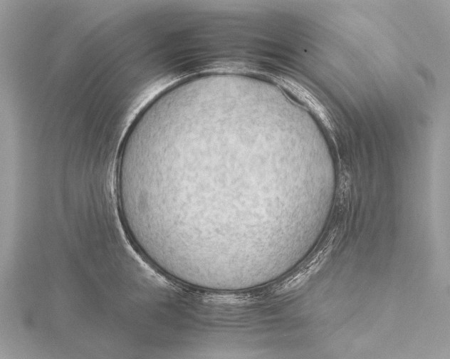 X0000115780855200912041450