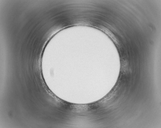 X0000115780856200912041450