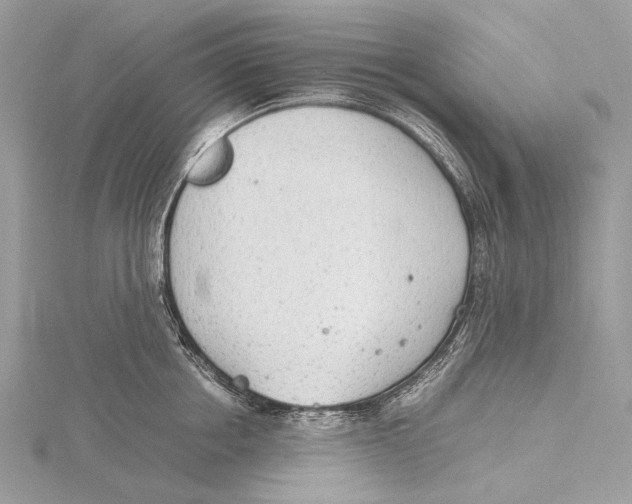 X0000115780858200912041450