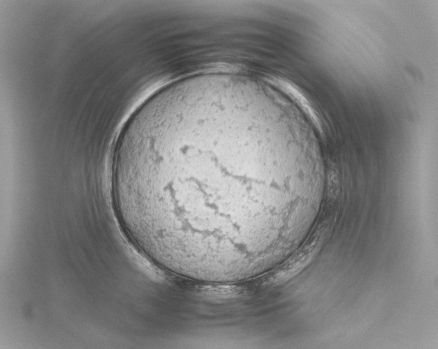 X0000115780859200912041450