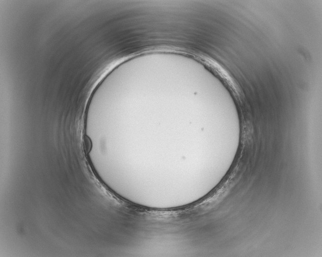 X0000115780860200912041450