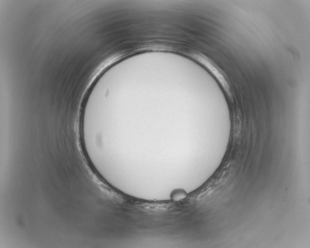 X0000115780861200912041450